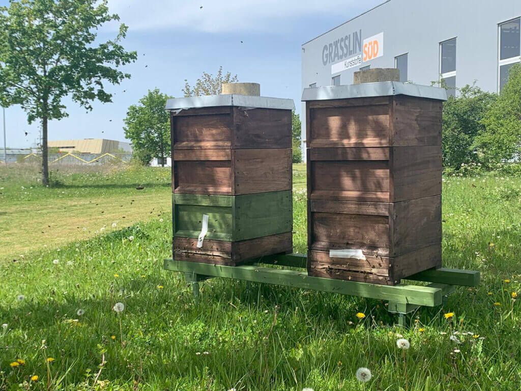 Zwei Bienenstöcke im Grünen nahe einer Industriehalle, umgeben von blühendem Löwenzahn und fliegenden Bienen.